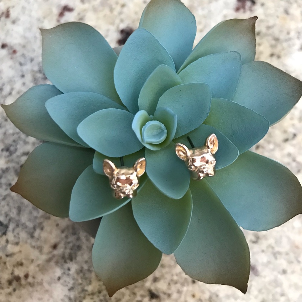 J. Crew Bulldog Stud Earrings